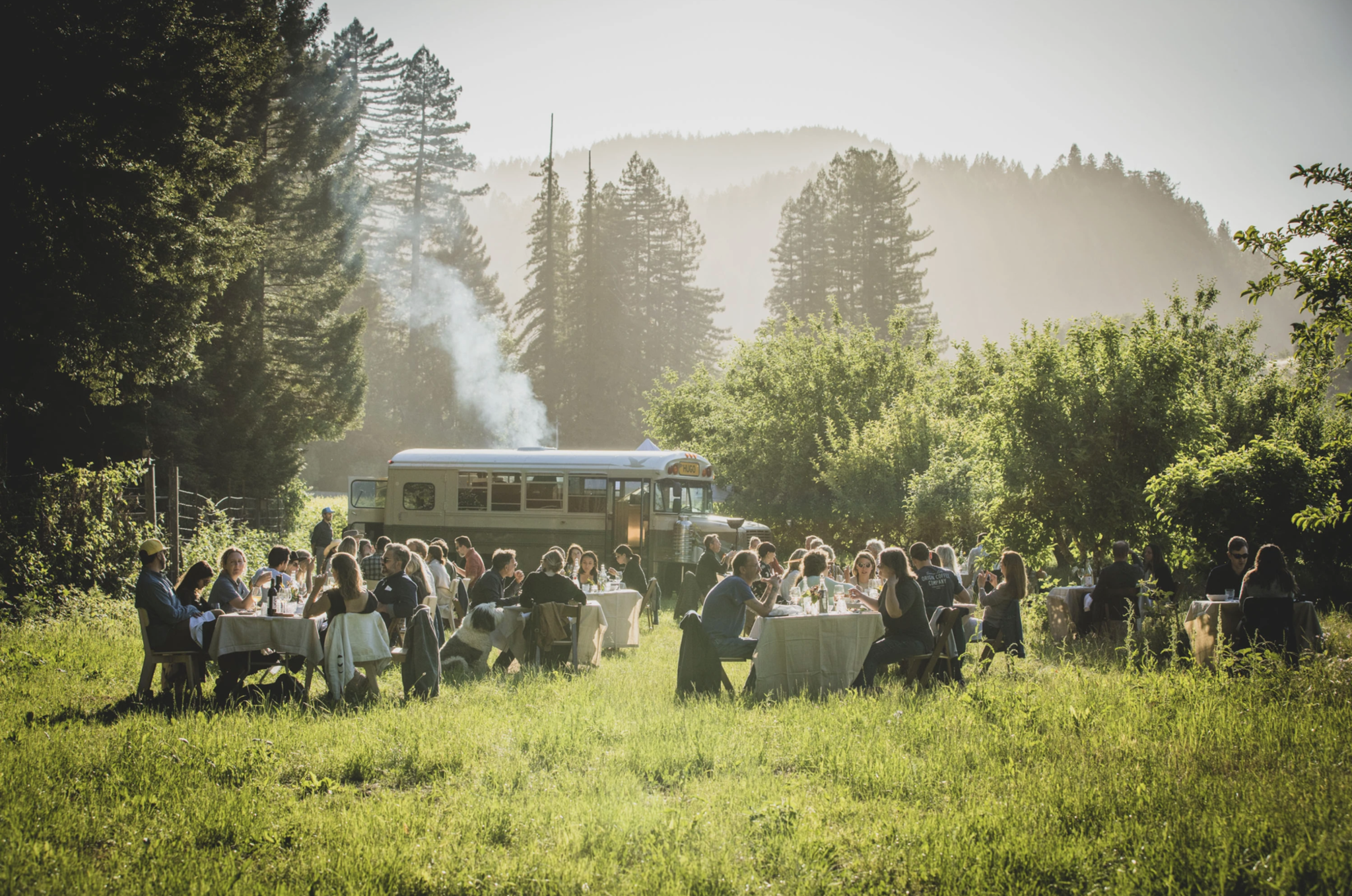 Groups seated on tables in field with bus and redwood trees in background. 