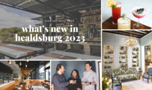 collage of photos of new restaurant patios, cocktails and people toasting with wine glasses