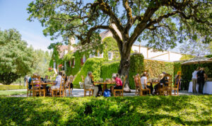 guests sitting at wooden tables on winery terrace under large oak tree and chateau building in the background