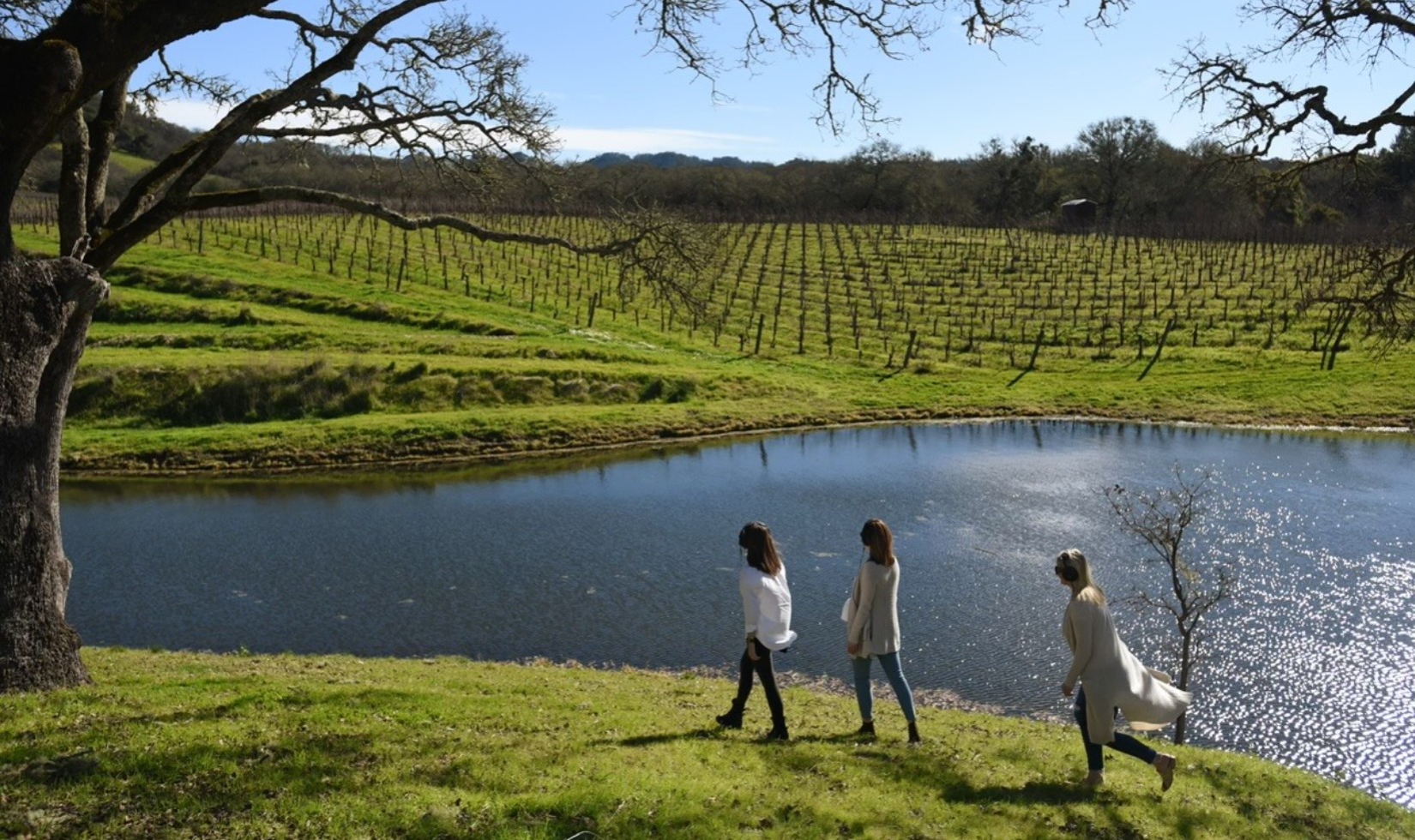Group walks around lake in vineyard with headphones during a sound immersion experience