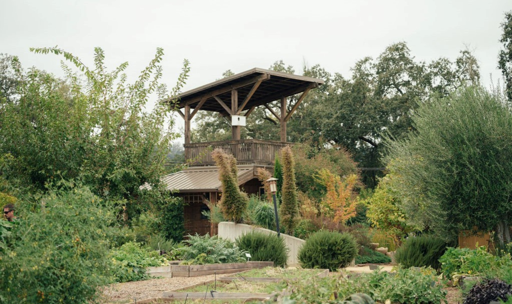Garden with multiple planters and viewing platform at Quivira winery
