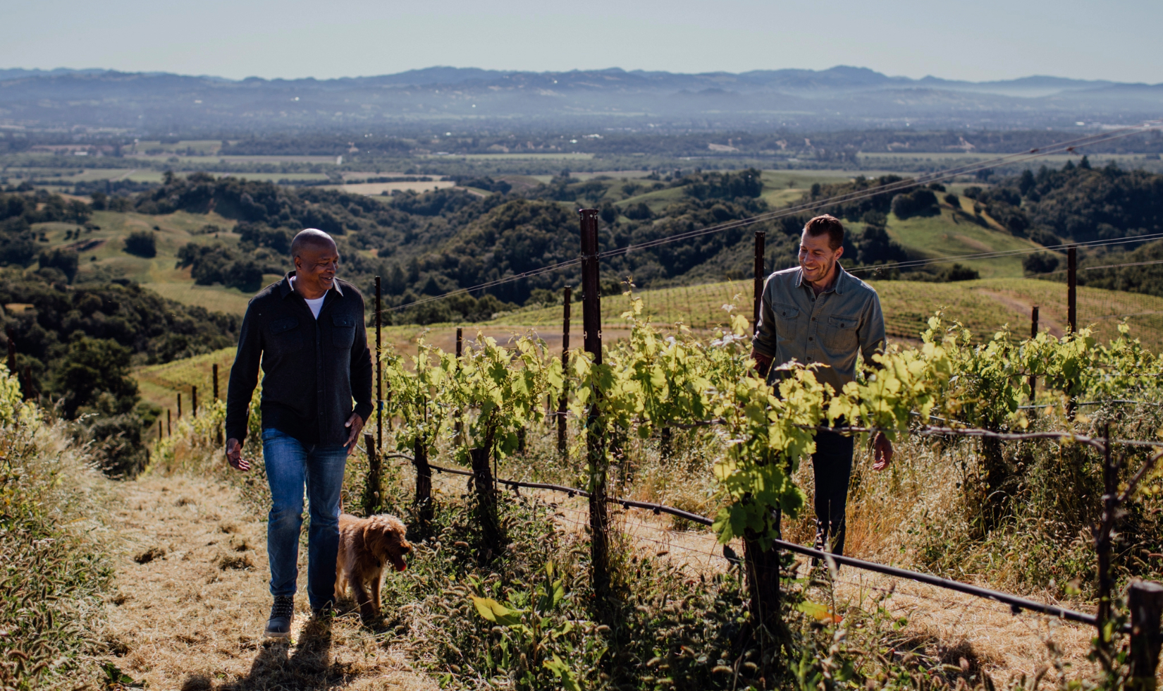 David Drummond and Sam Bilbro walking uphill through a vineyard. 