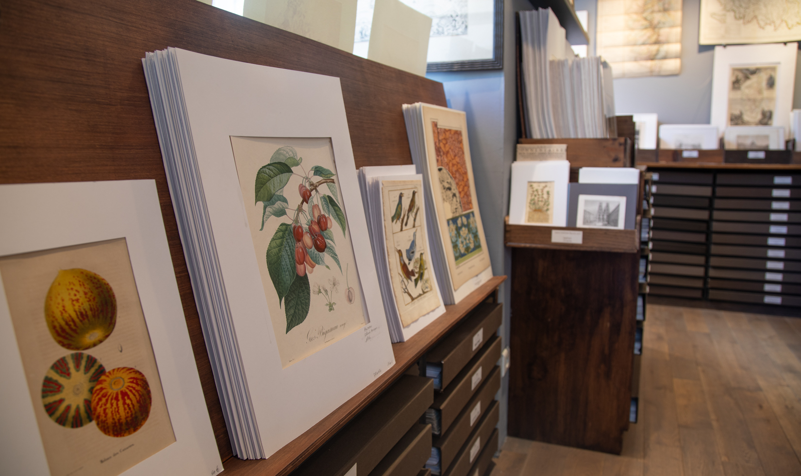 close up of antique prints in a small gallery