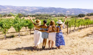 4 women celebrating their wines in the vineyard