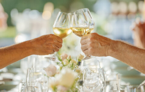group of wine glasses toasting around an outdoor dinner table