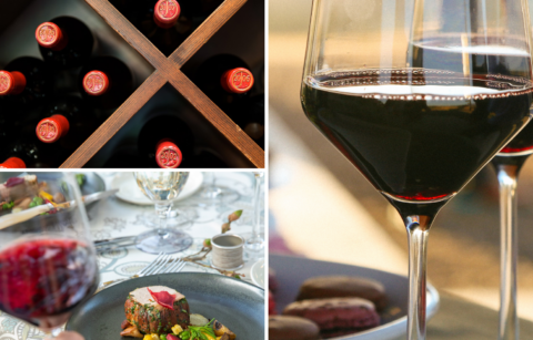 collage of photos of cabernet sauvignon wine